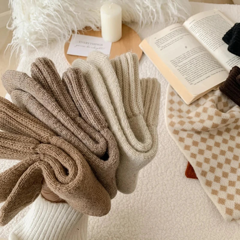 5 Pairs Winter Thickened Wool Socks Women’s Breathable Comfortable Plush Low Tube Snow Socks Korean Simple Warm Cashmere Socks