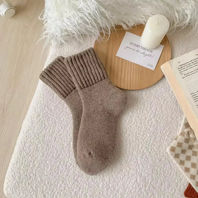 5 Pairs Winter Thickened Wool Socks Women’s Breathable Comfortable Plush Low Tube Snow Socks Korean Simple Warm Cashmere Socks